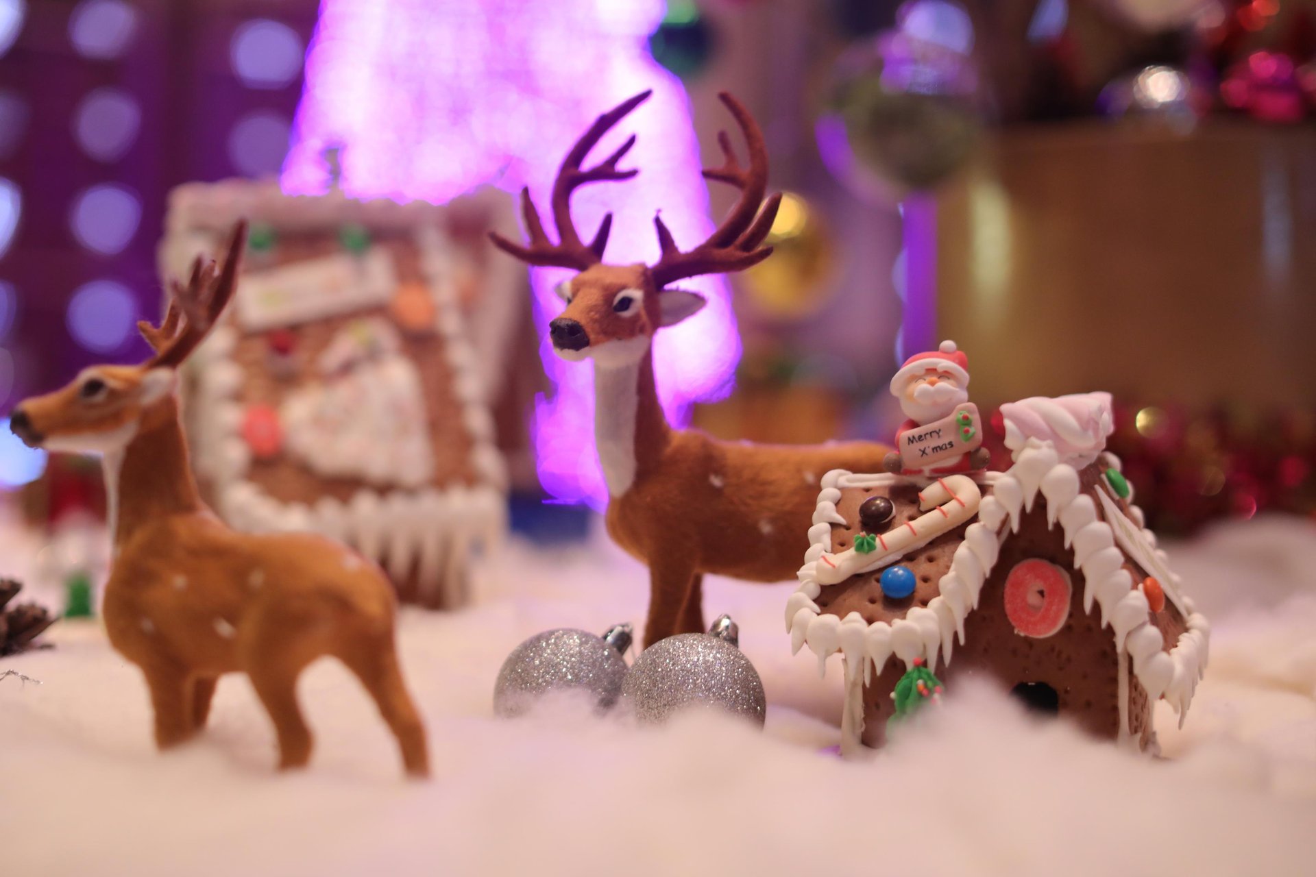 圣诞暖意融，家庭喘息日