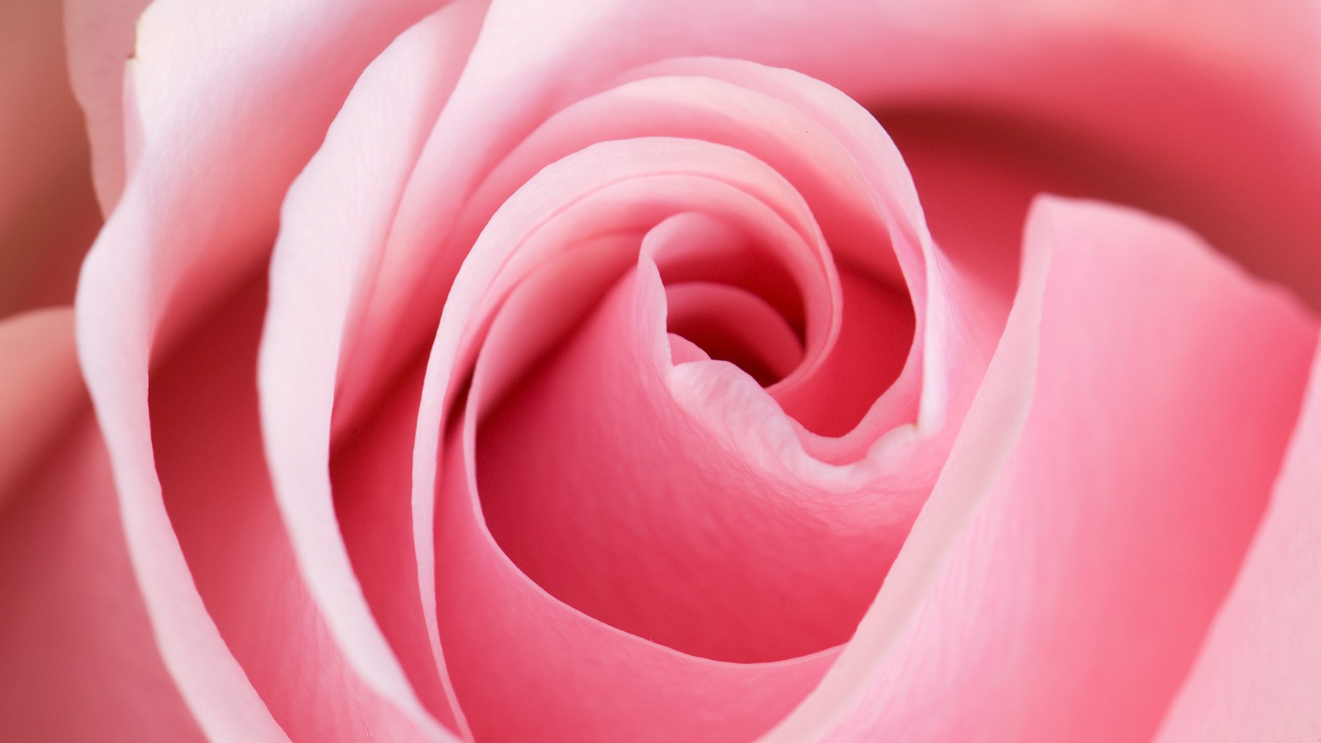 La Dolce Vill'Amoré