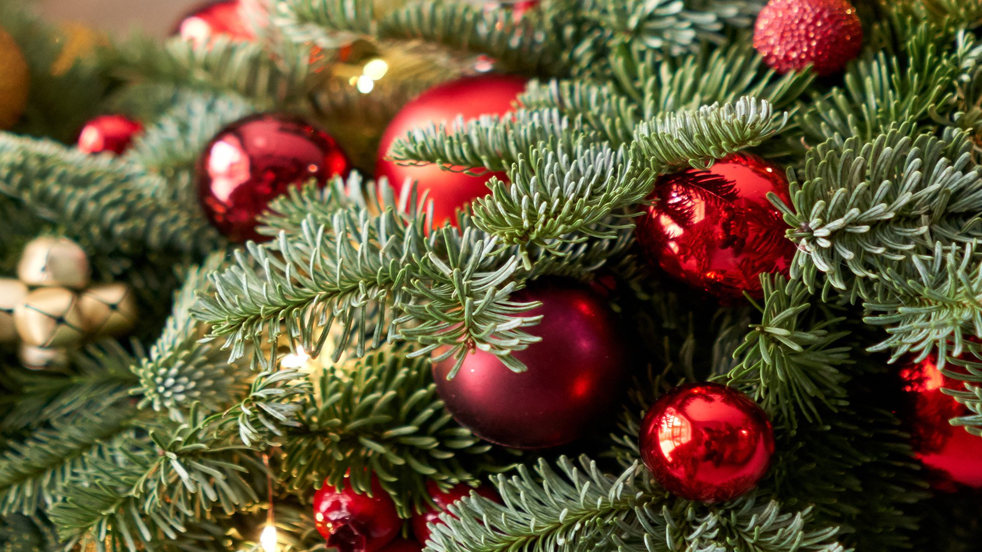 Exquisites Weihnachtsessen
