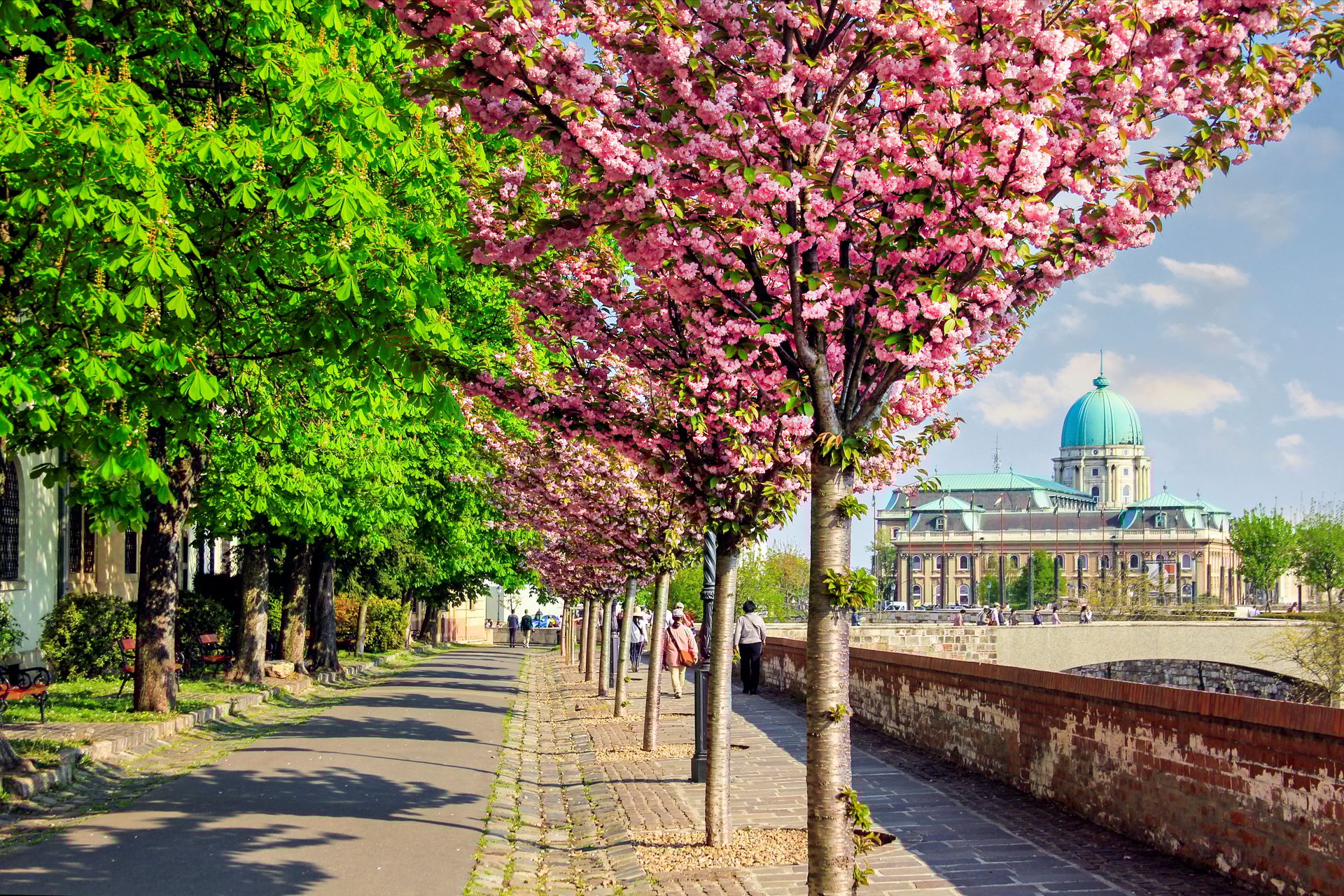 Discovering an Authentic Taste of Budapest, Hungary