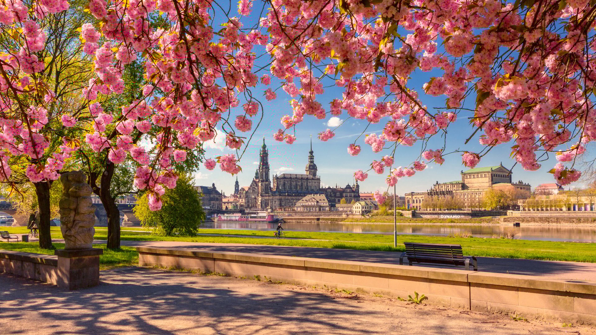 Why Dresden - The Surroundings at the Taschenbergpalais in Saxony_High Res_27709.jpg