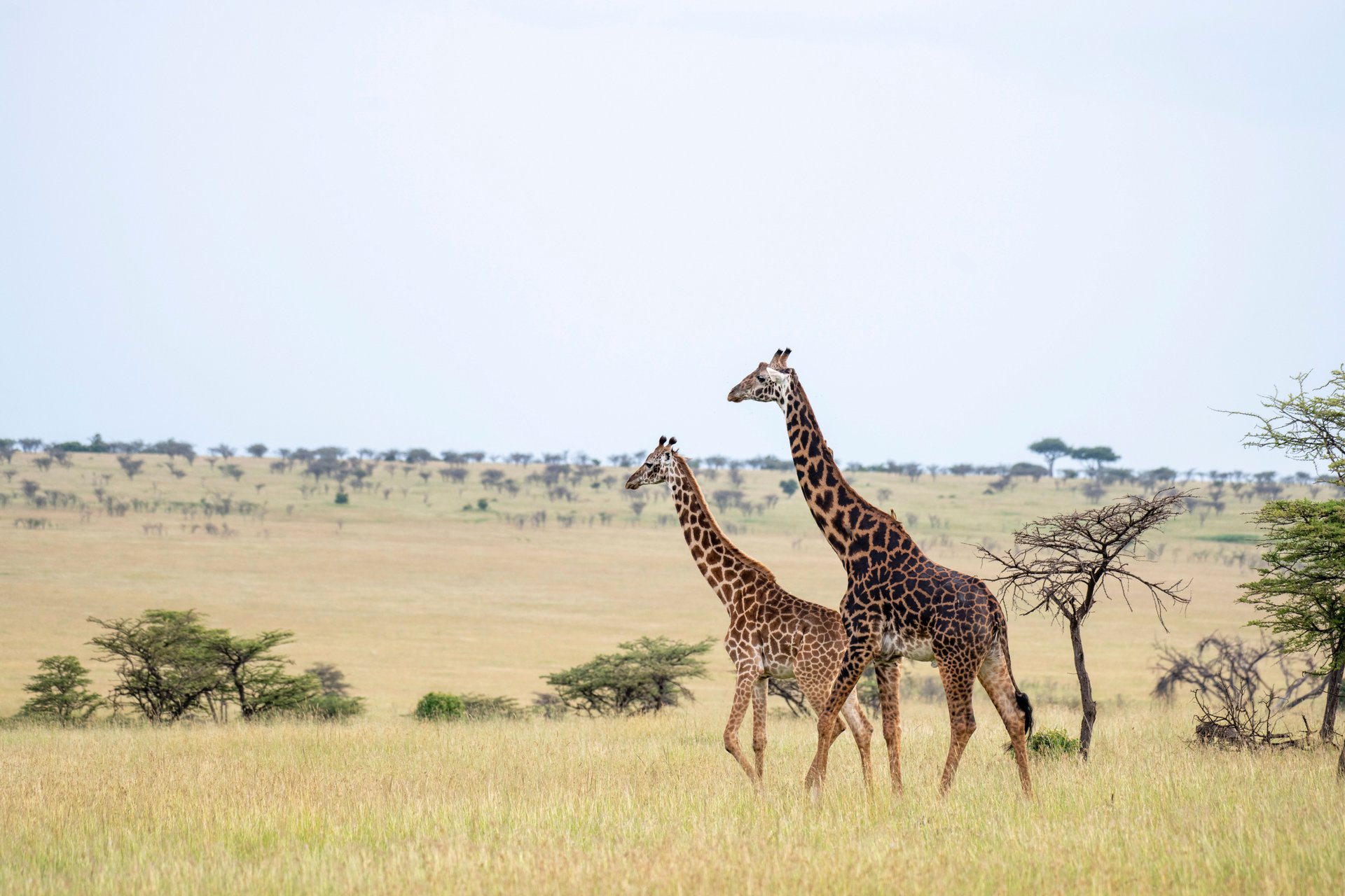 KIMRE1_Gamedrive-75_High Res_17486.jpg