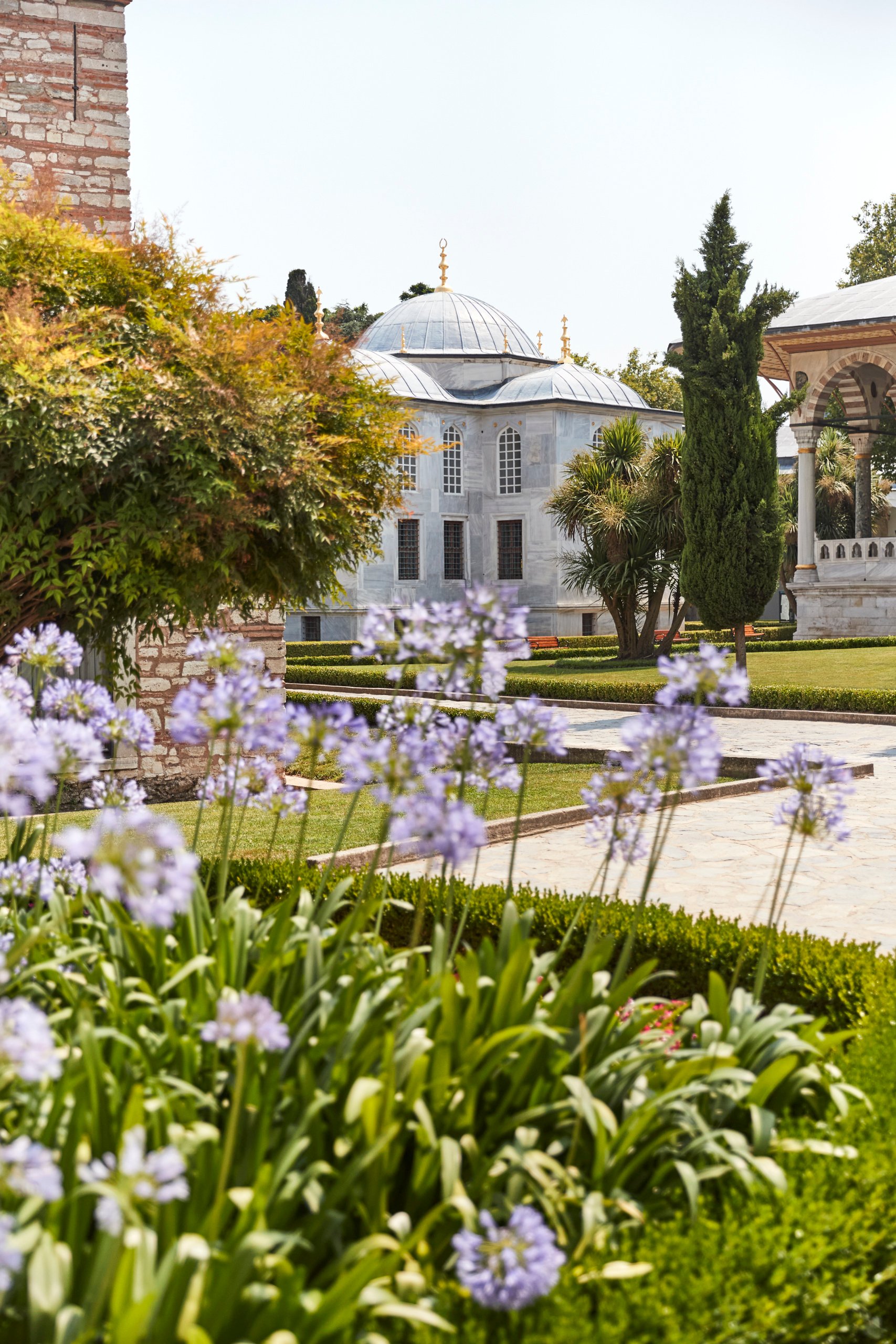 Palace garden