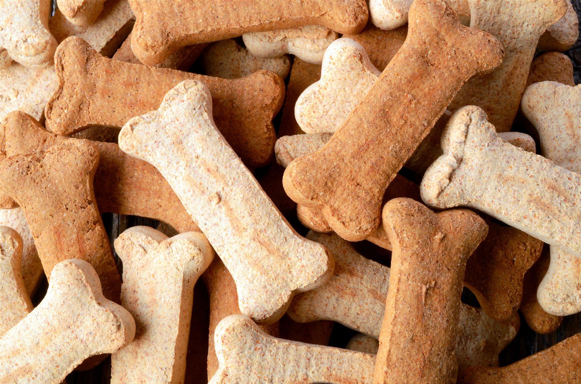 Dog treats