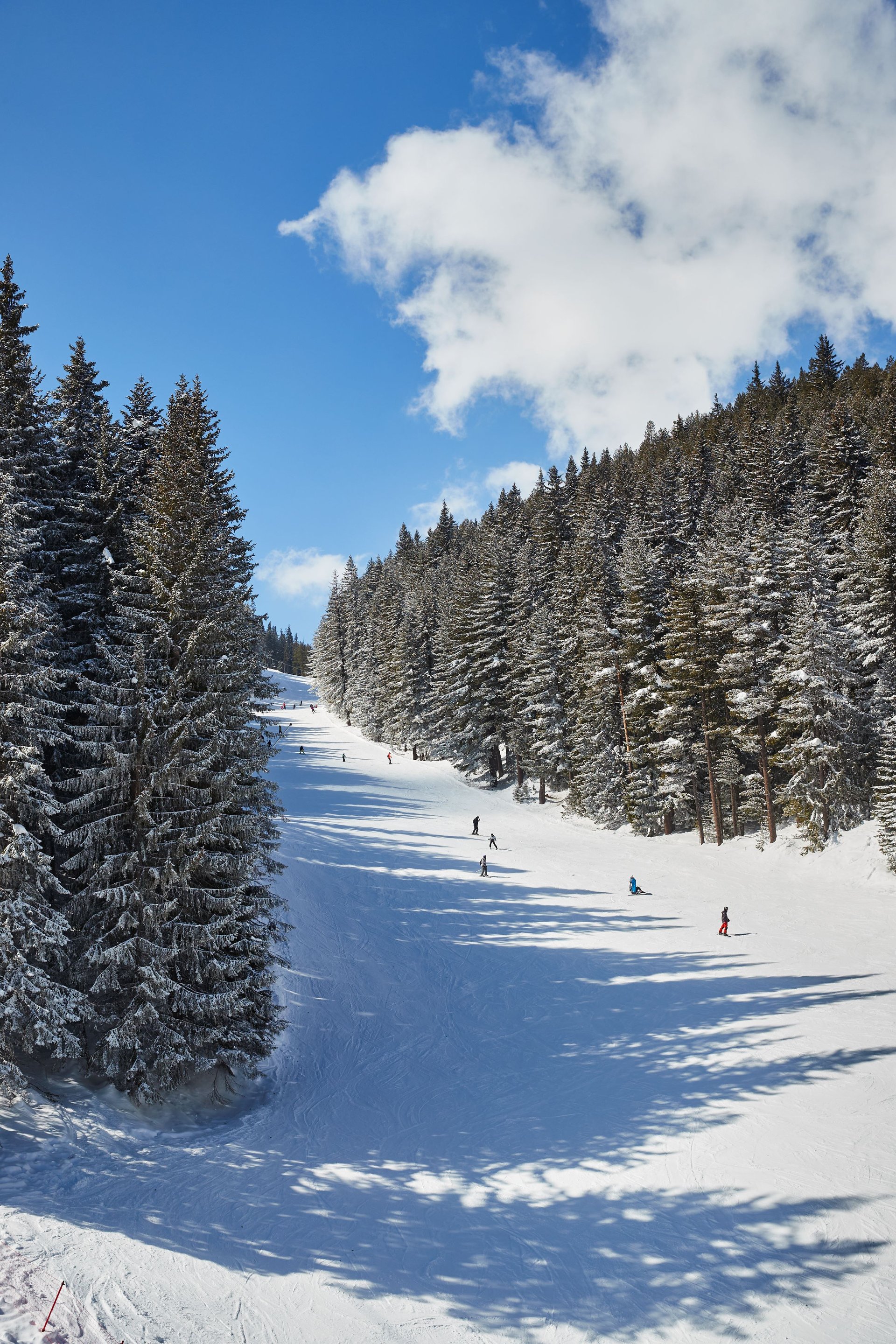 Bansko ski destination