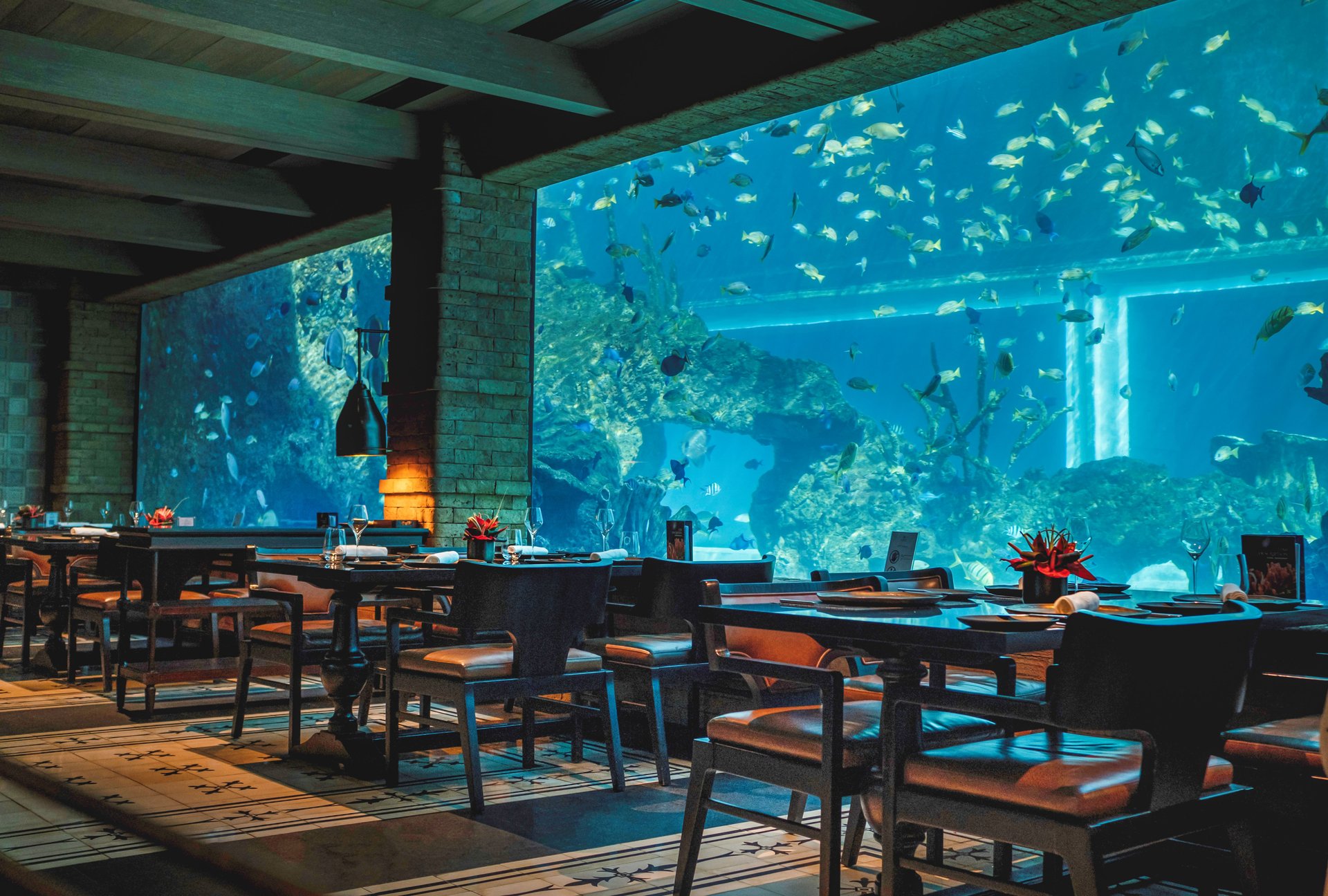 KIDPS1_Koral Restaurant 1.jpg