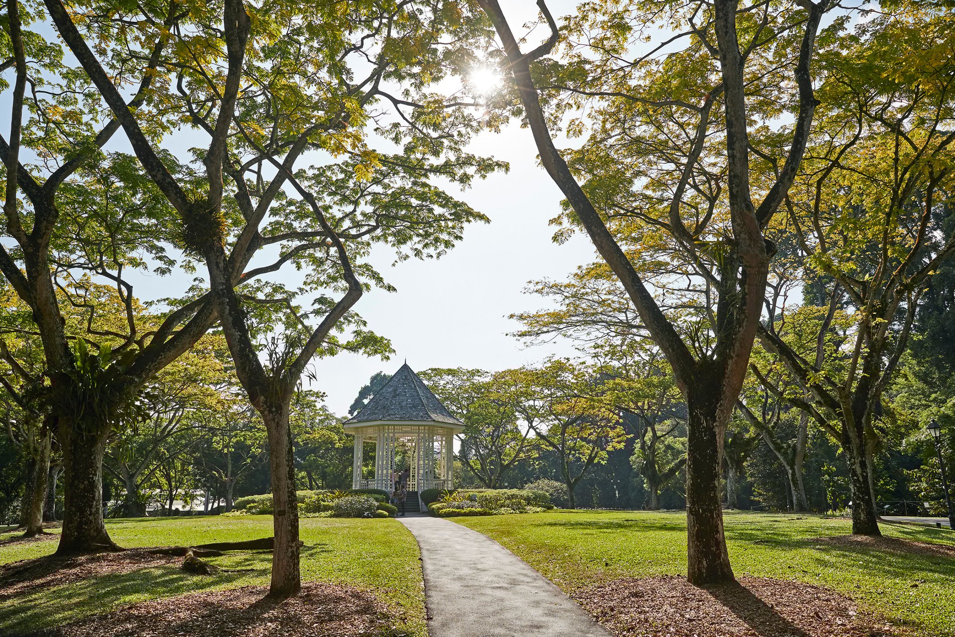 The Capitol Kempinski Hotel Singapore_Destination_Botanic Gardens_High Res_23708.jpg