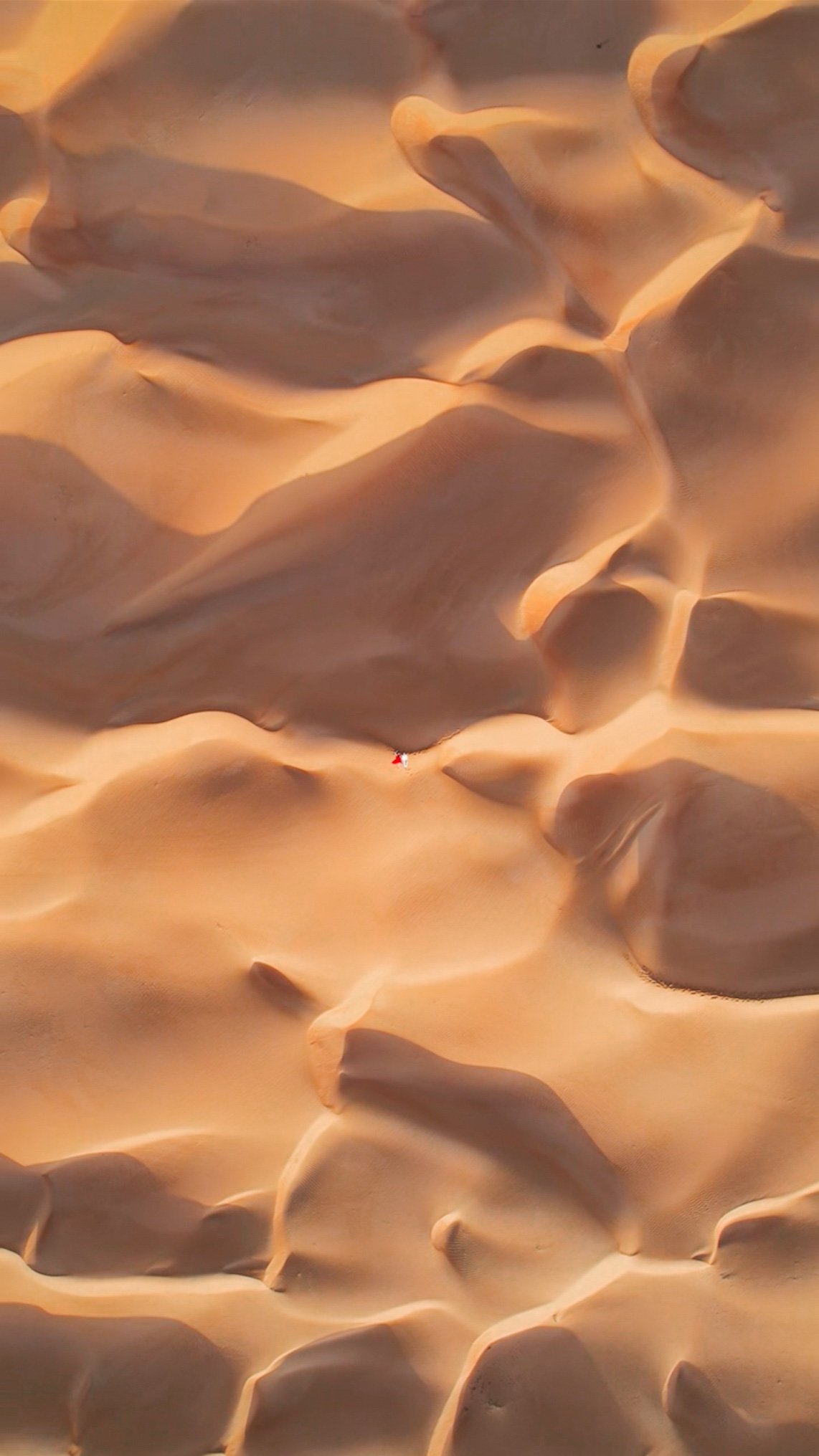 desert Muscat