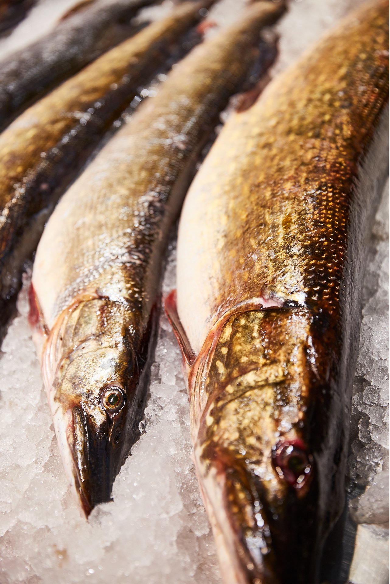 EH_0003_KempinskiRiga 55.jpg