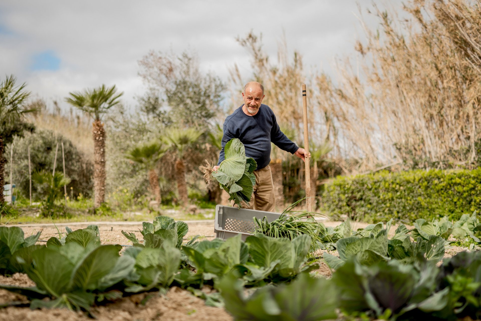 Sustainability and agriculture in Malta