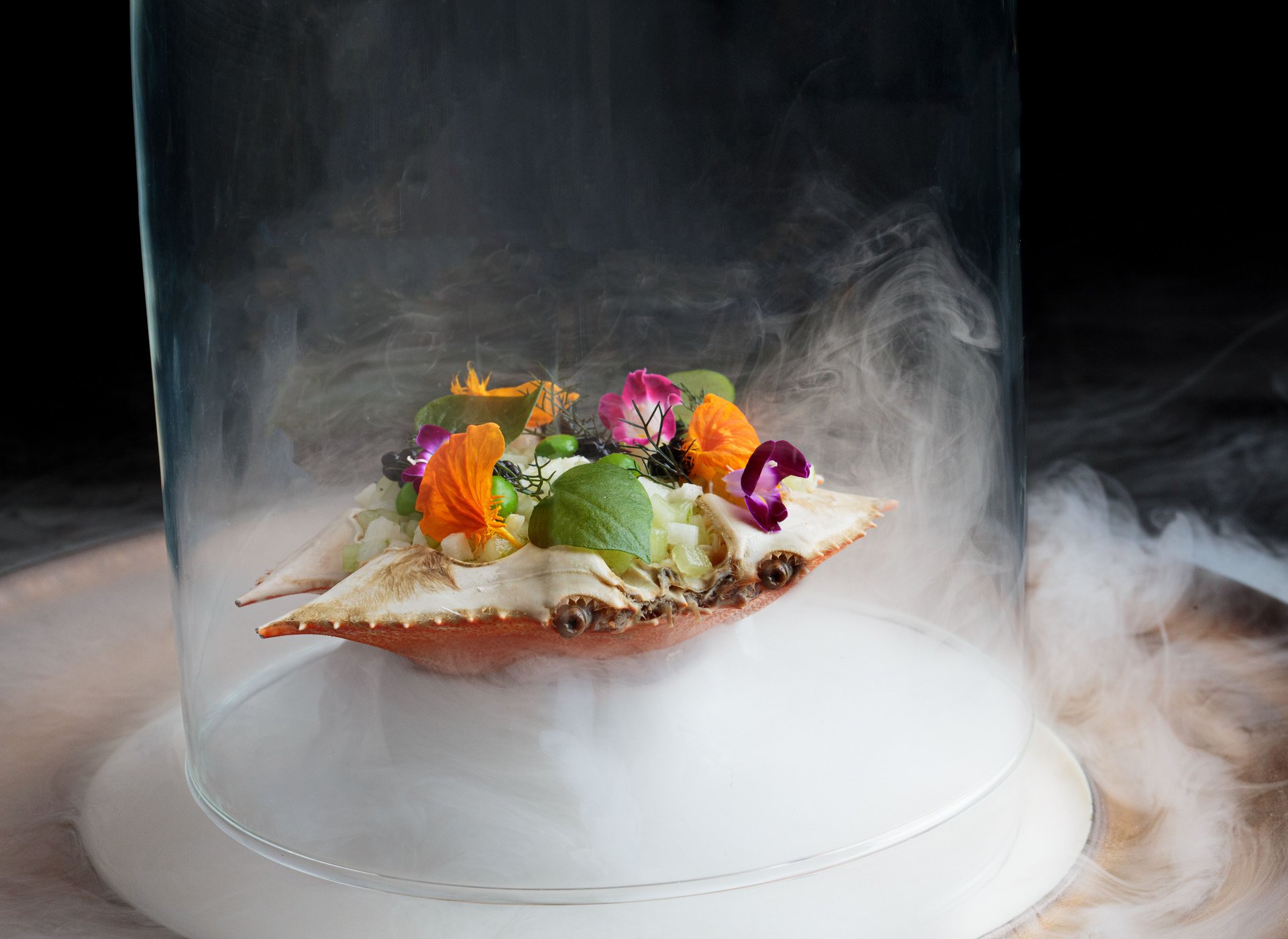 KIDPS1_Koral Restaurant Food.jpg