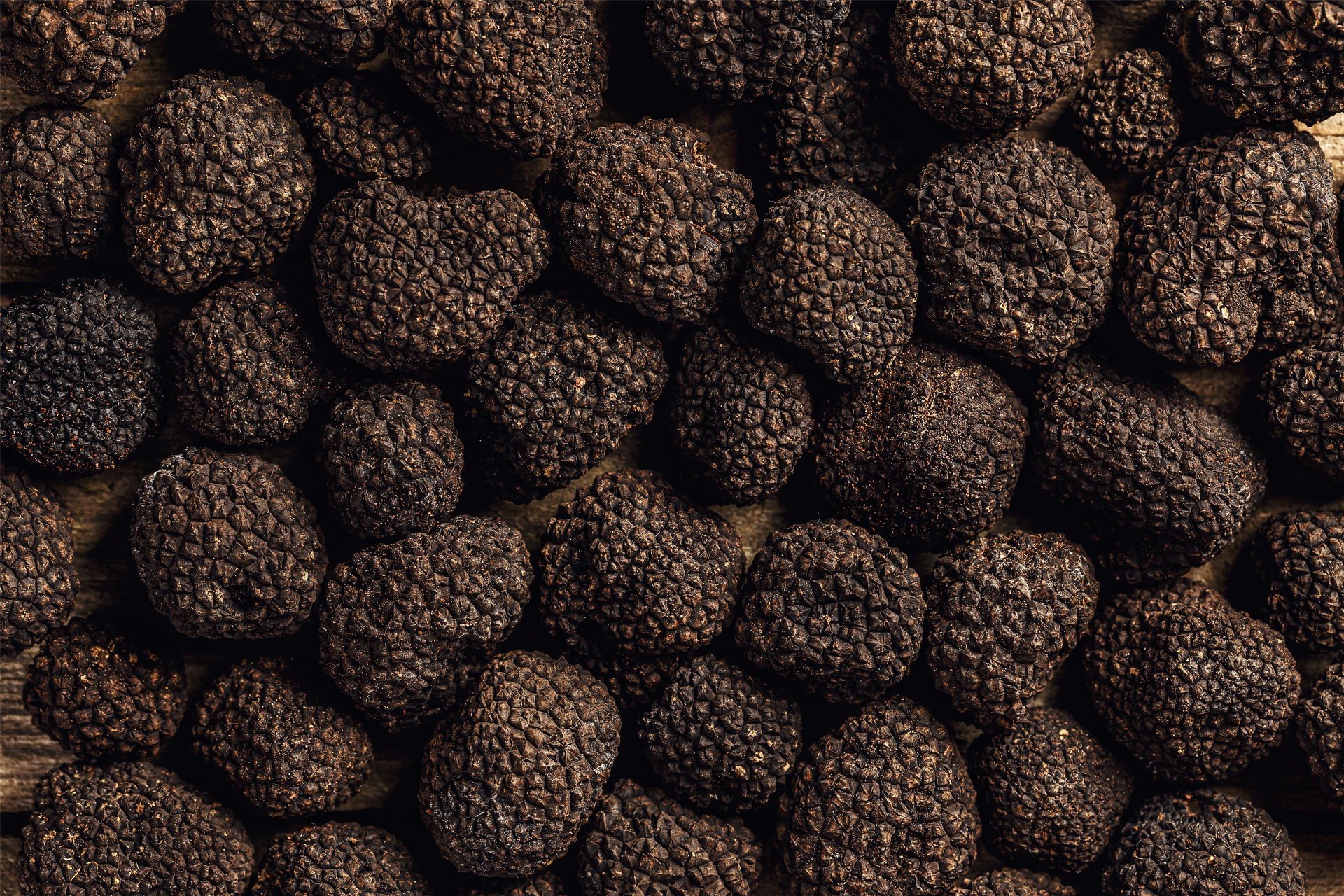 Fresh black truffles - straight from the forest