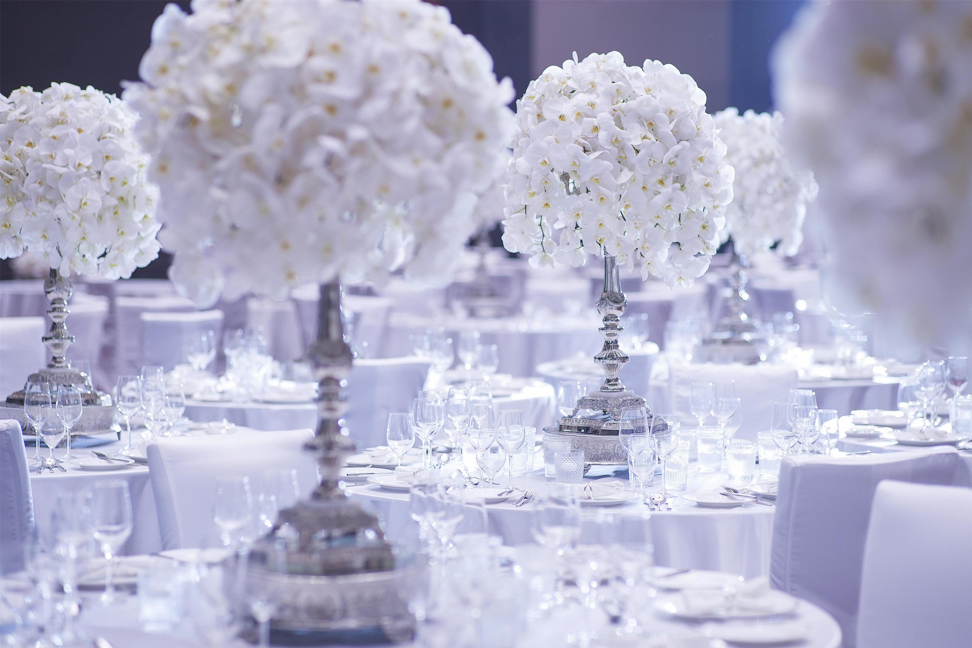 Weddings