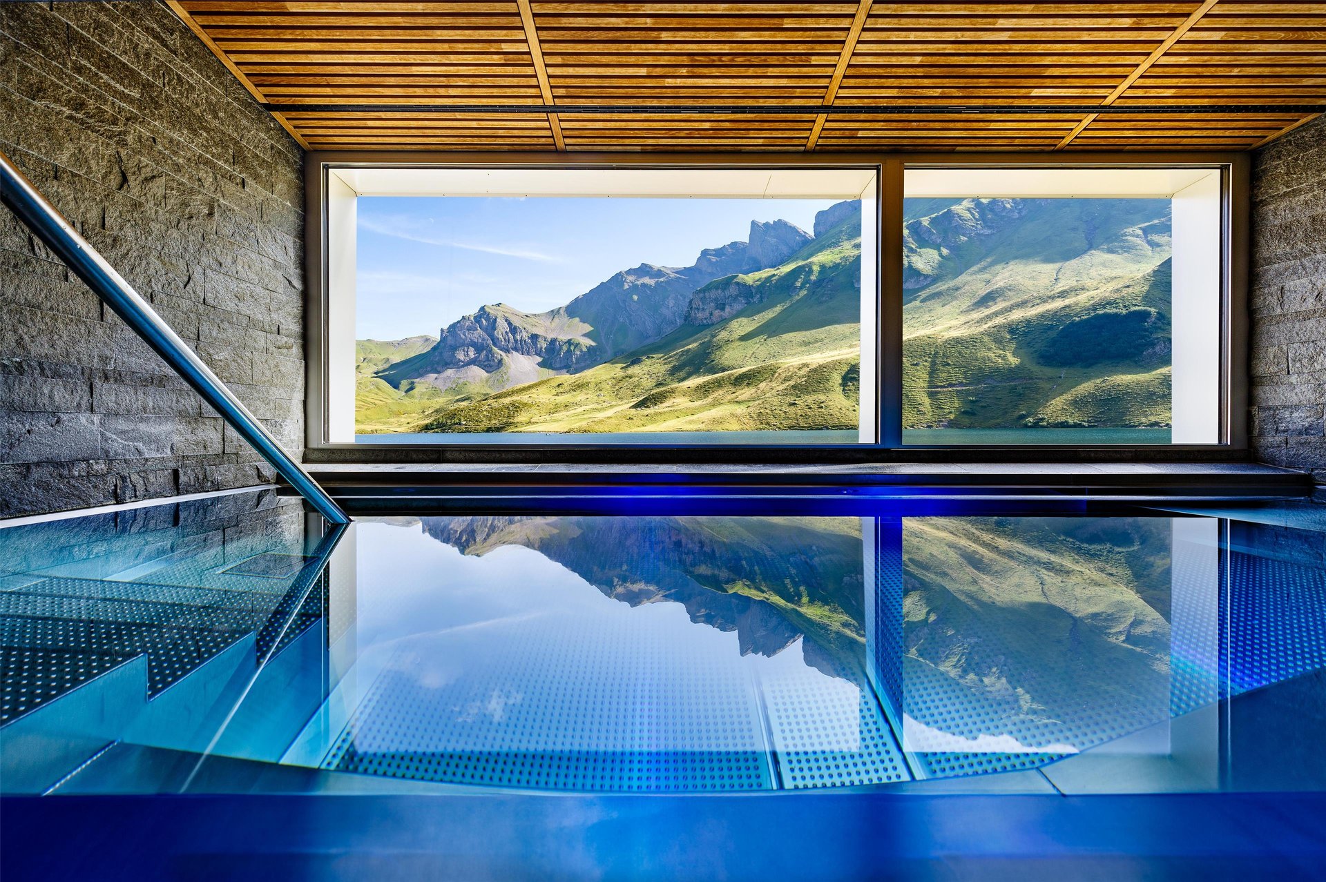 Wellness