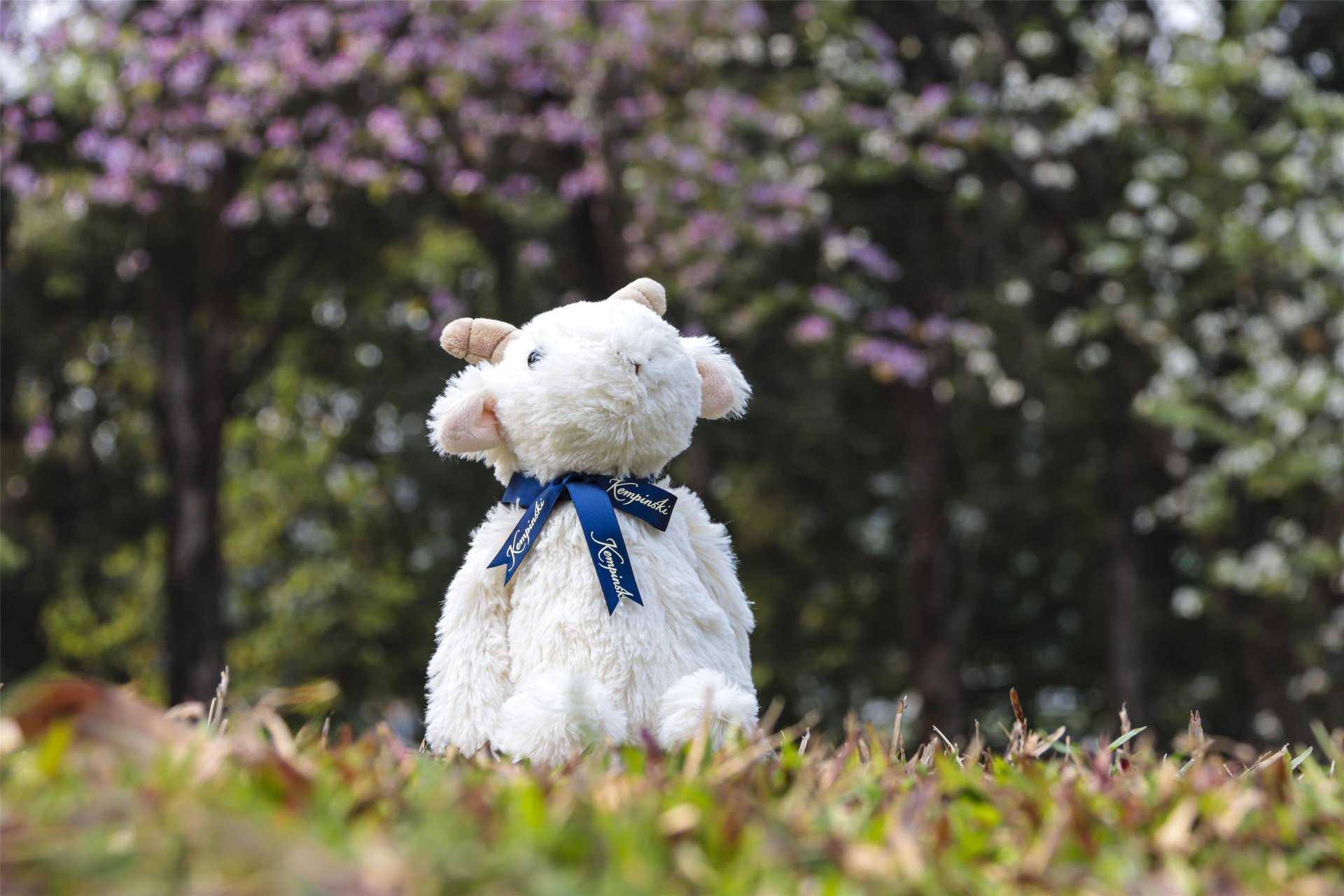News from Guangzhou