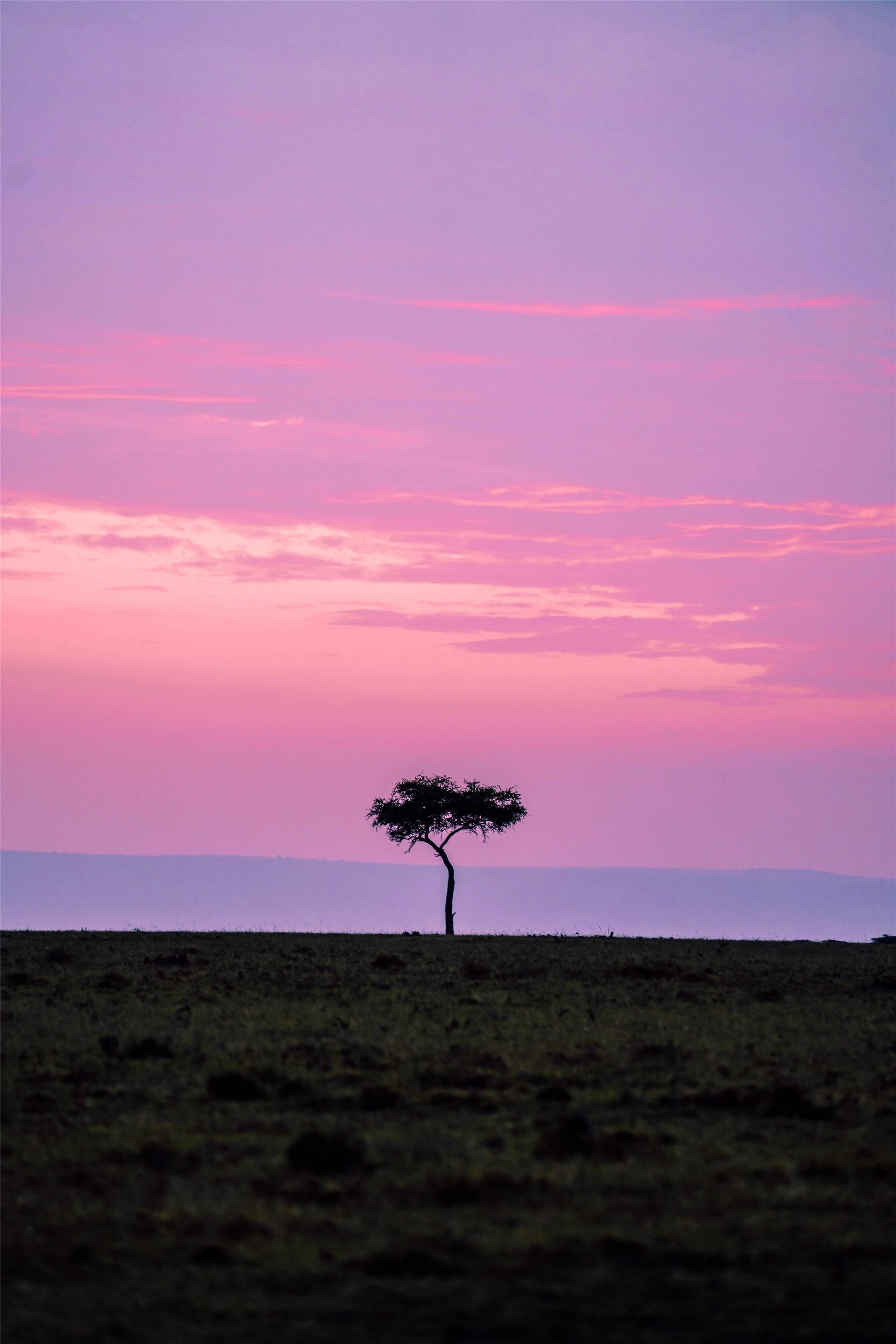 A Luxurious City and Safari Escape