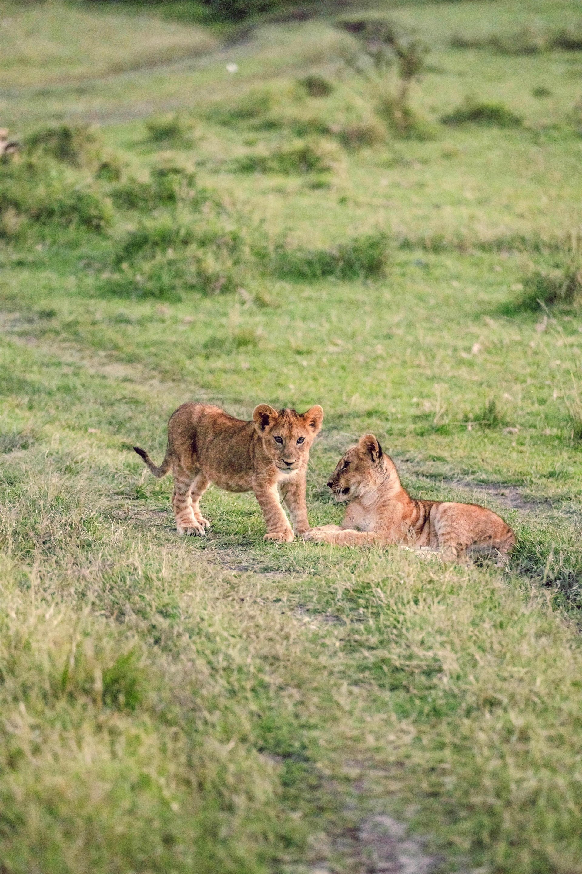 Olare Mara Kempinski, Masai Mara - Miscellaneous