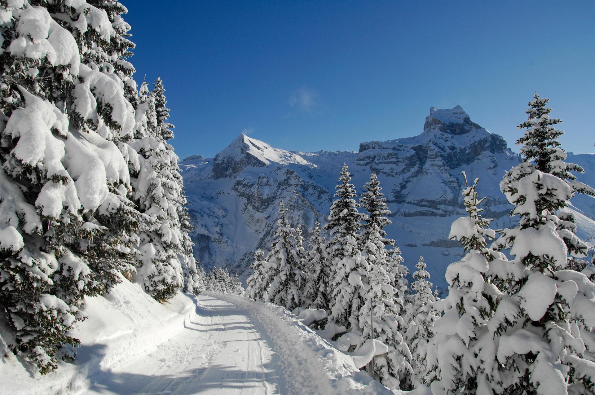 Winter Team Building Events