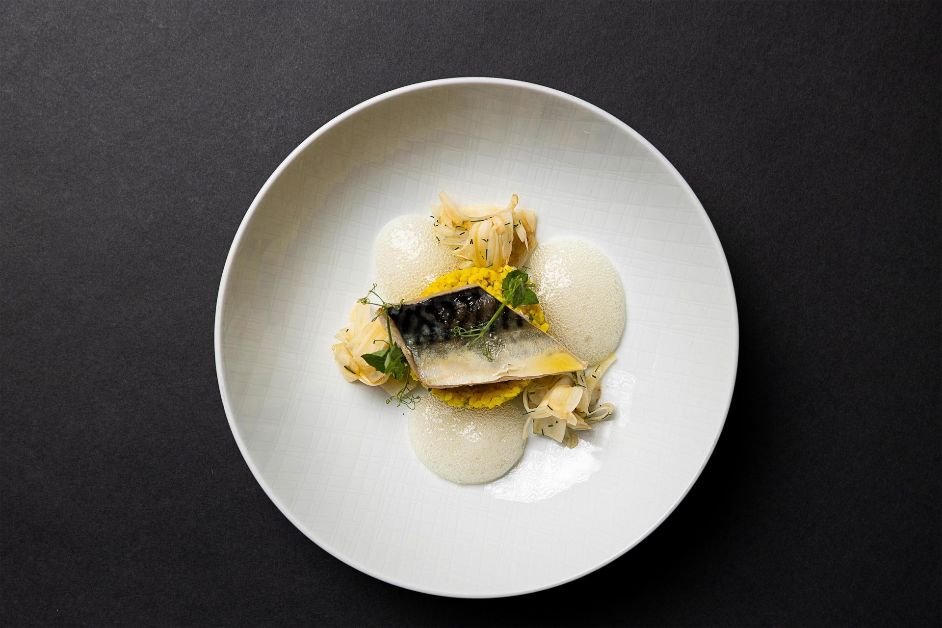 Dresden’s Culinary Highlights