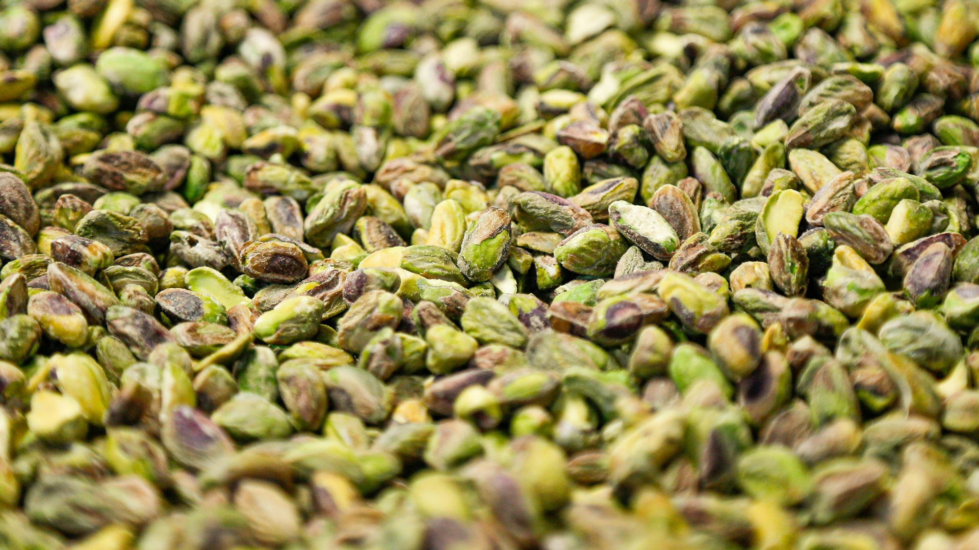 EH Live Local_Mosaic_16by9_Pistachio_syed-f-hashemi_unsplash.jpg