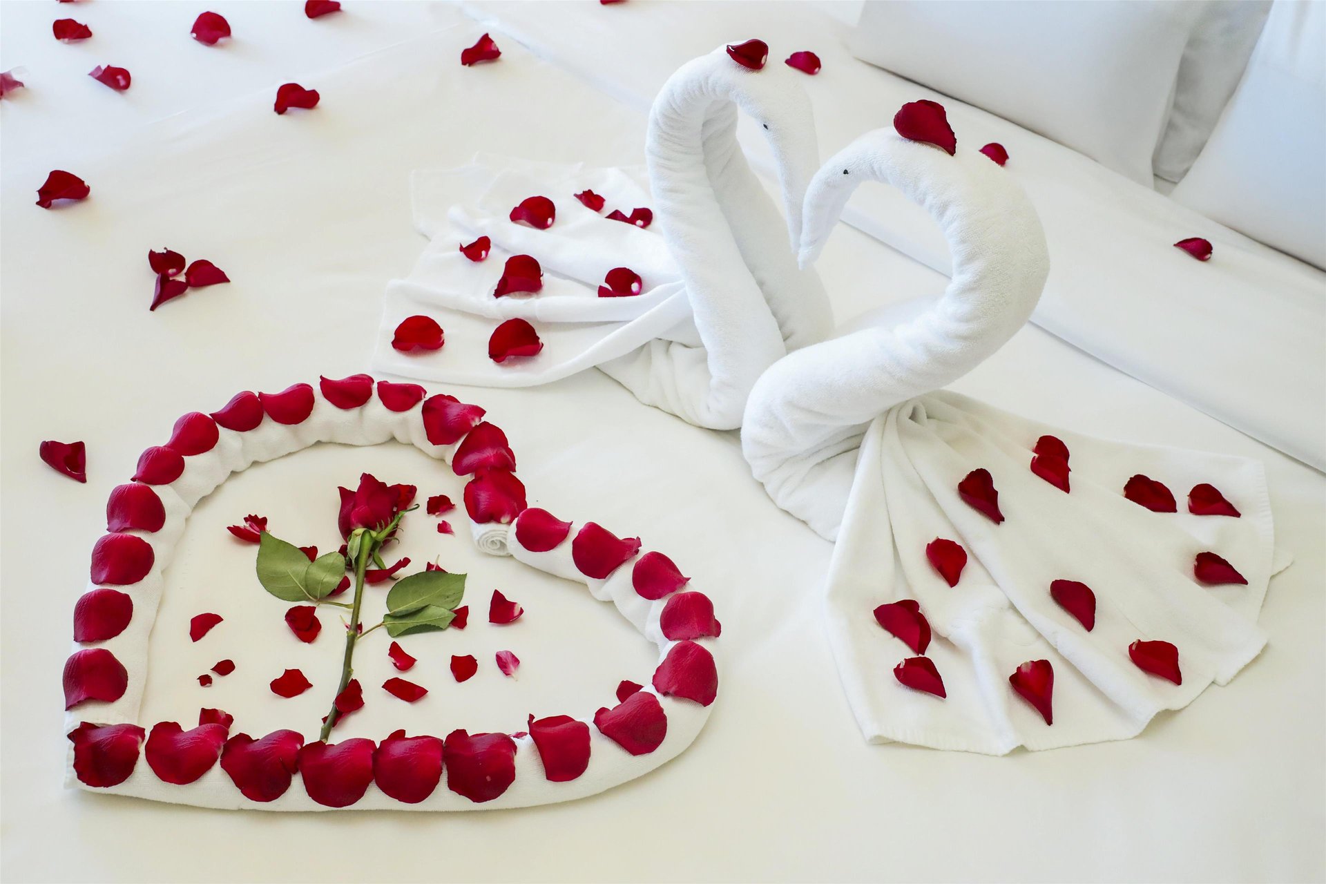 New Romance Package