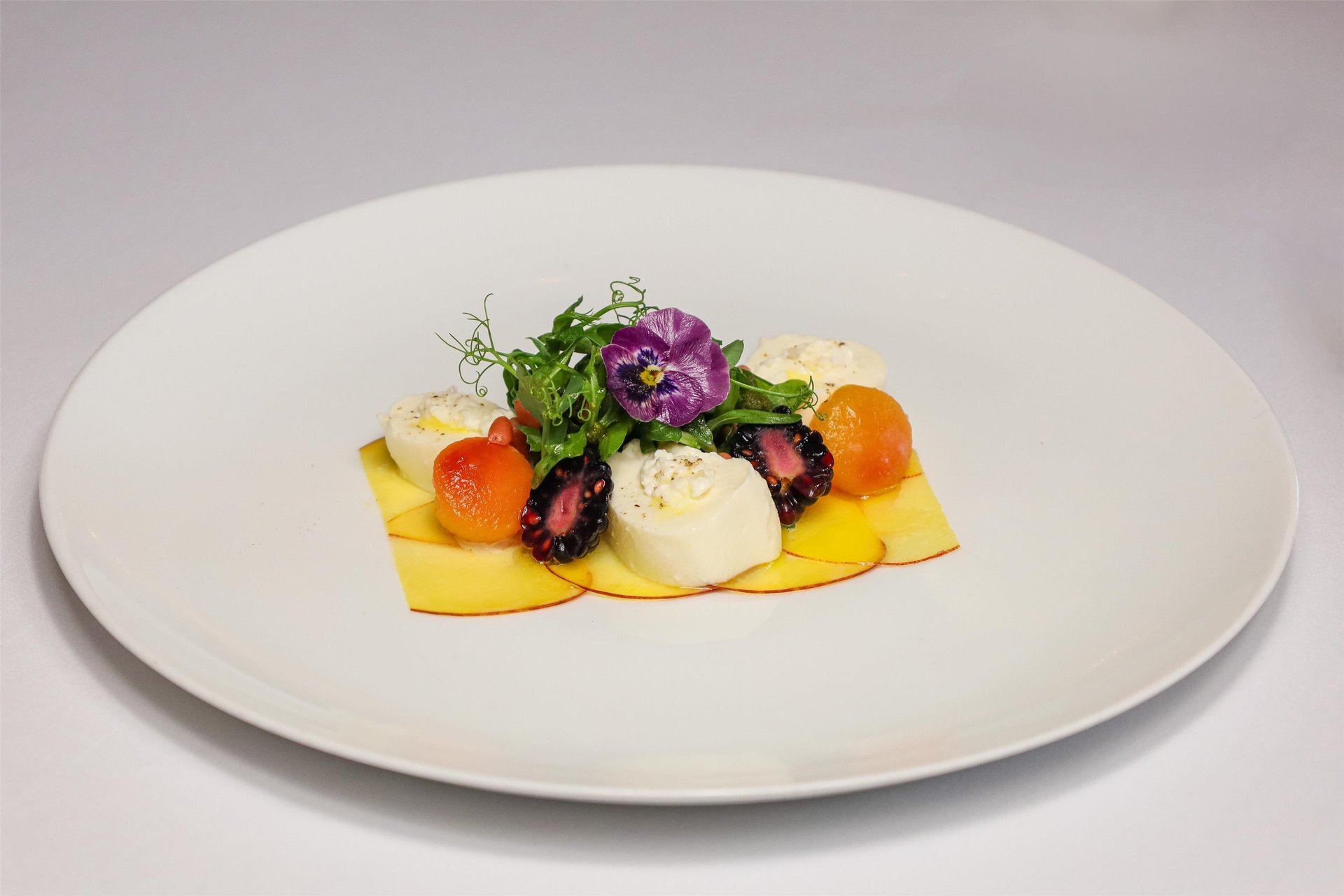 Culinary Mastery Friday in Fantino