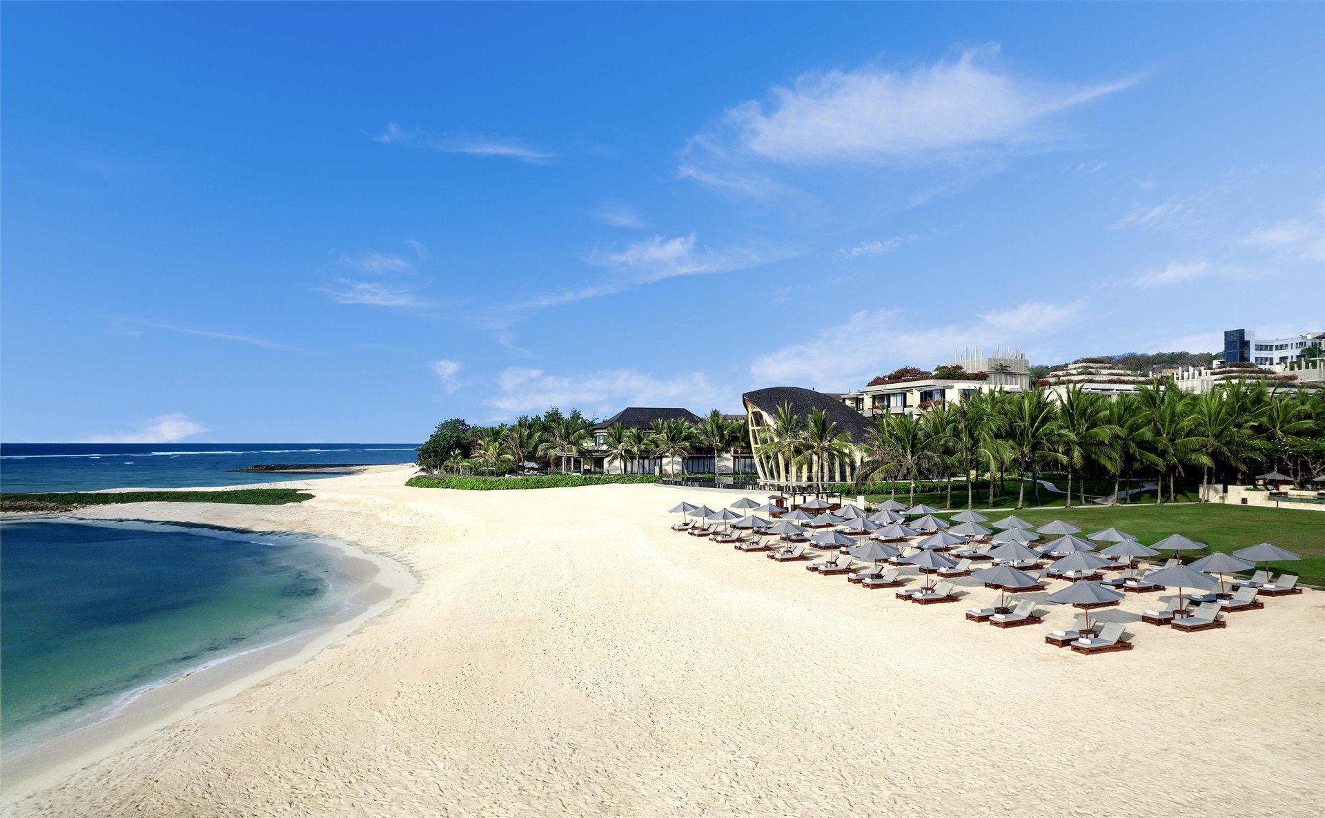 Wellness Package