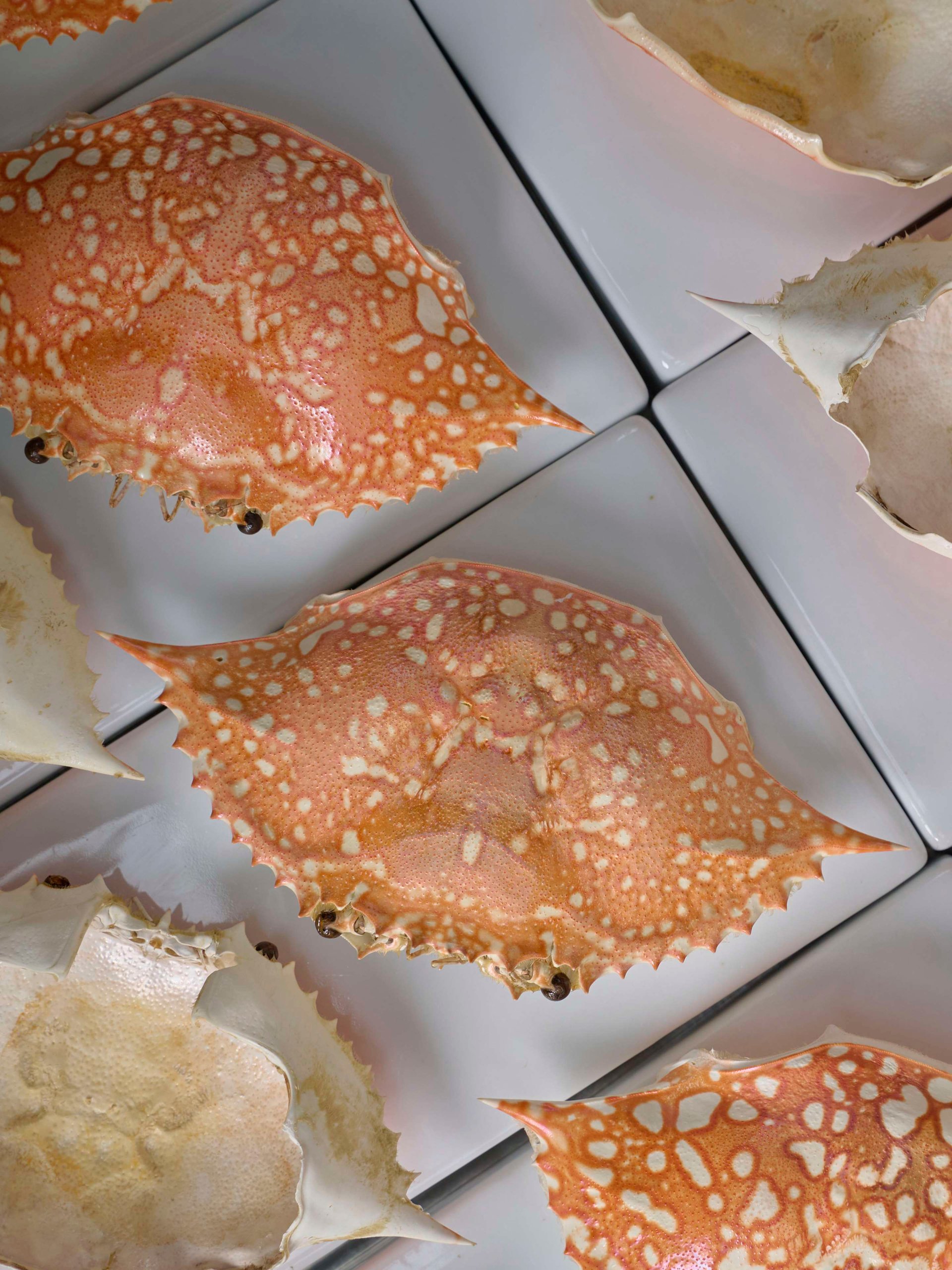 New Year’s Eve Dinner at Sra Bua by Kiin Kiin