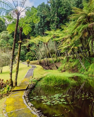 Bali Botanical Garden.jpg