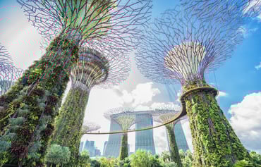 Gardens by the bay 1.jpg