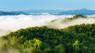 EH Sustainability_Header_1920x1080_iStock_02.jpg