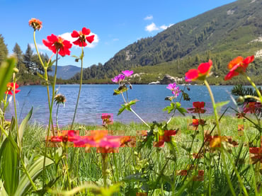 Bulgaria nature