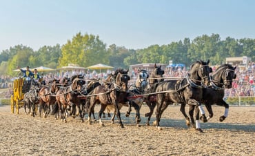 Hotel Taschenbergpalais Kempinski Dresden - Local attraction
