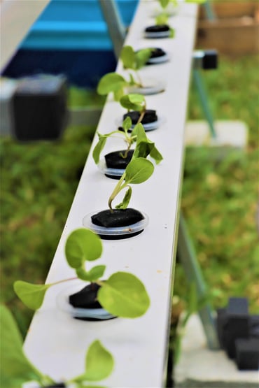Sustainability