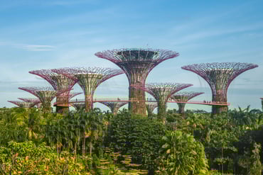 Gardens by the bay 2.jpg