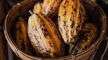 AdobeStock_514370849.jpg