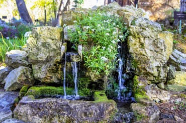 Botanical Garden: Budapest Travel Tips by Kempinski Hotel Corvinus