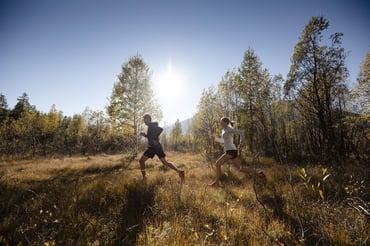 Engadin Tourism Pictures