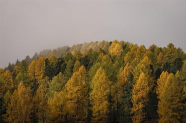 Engadin Tourism Pictures