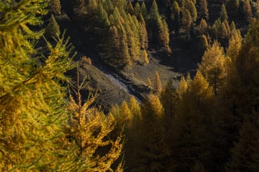 Engadin Tourism Pictures