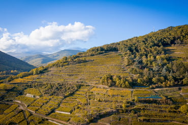 Kempinski Palace Engelberg - Miscellaneous