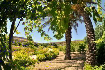 KIMLA_Garden_High Res_7151.jpg