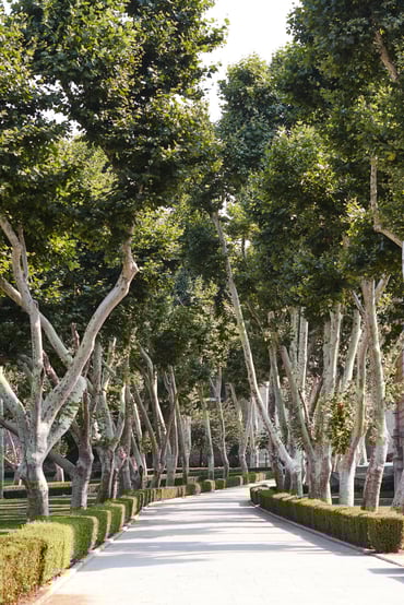 KIIST_July23_Topkapi Palace (9)_High Res_45703.jpg