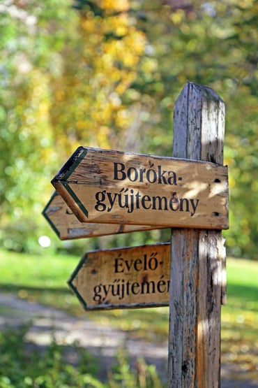 Travel Tips Budai Arboretum - Kempinski Hotel Corvinus Budapest