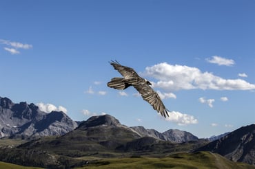 Engadin Tourism Pictures