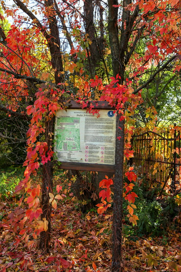 Arboretum: Budapest Travel Tips by  Kempinski Hotel Corvinus Budapest