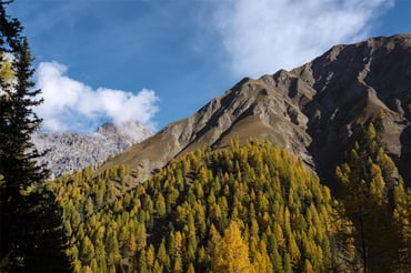 Engadin Tourism Pictures