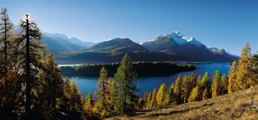 Kempinski Grand Hotel des Bains St.Moritz - Local attraction