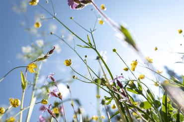 Kempinski Grand Hotel des Bains St.Moritz - Miscellaneous