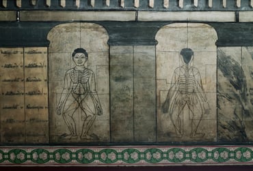 Diagram of Thai massage points, Bangkok.jpeg